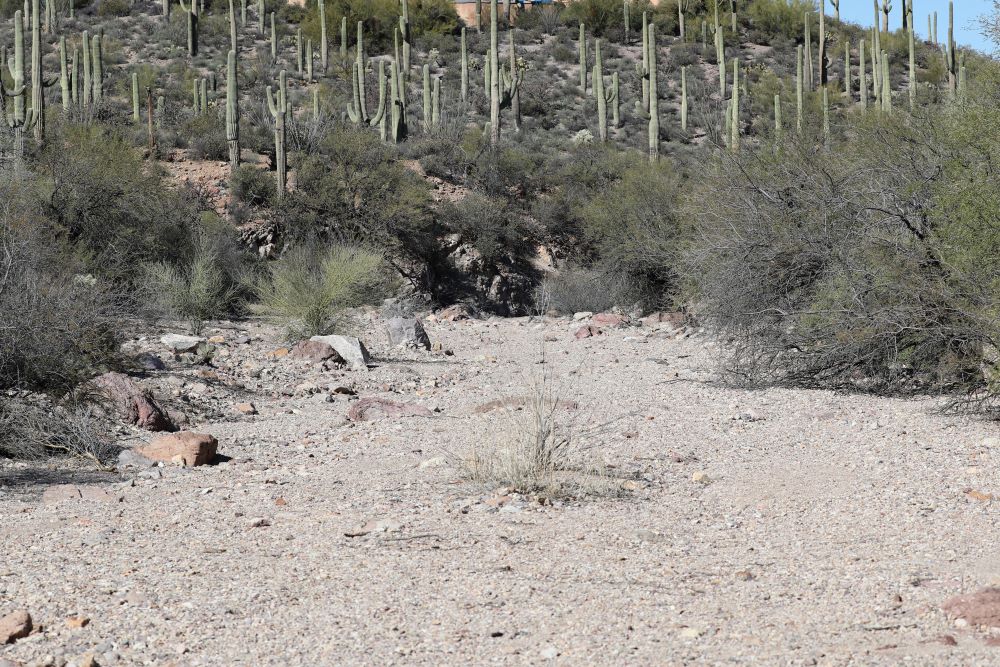 A dried-up creek bed along Camino de Oeste Trailhead in Tucson, Arizona A dried-up creek bed along Camino de Oeste Trailhead in Tucson, Arizona